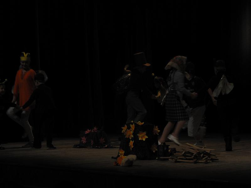 DSCF0348.JPG
