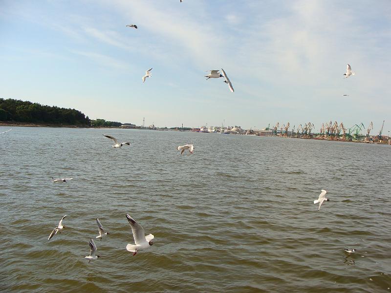 DSC07177.JPG