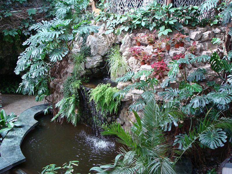 DSC07345.JPG