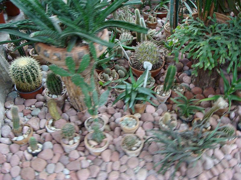 DSC07374.JPG