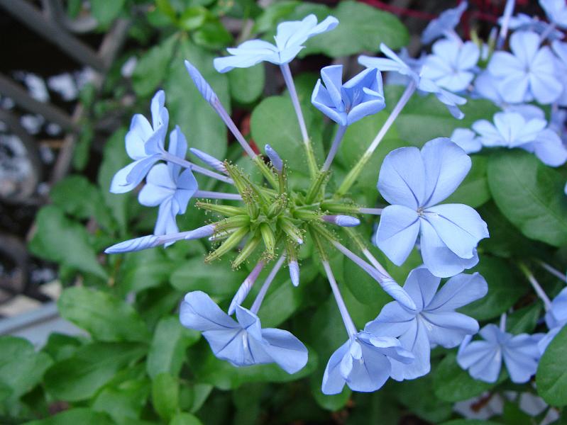 DSC07395.JPG