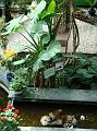 DSC07344