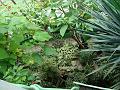 DSC07350