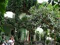 DSC07353