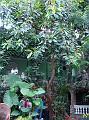 DSC07355