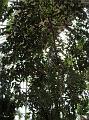 DSC07369