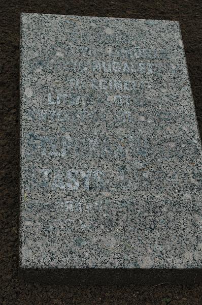 DSC_4732.JPG