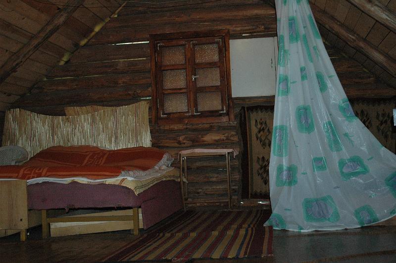 DSC_4769.JPG