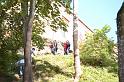 IMGP3242