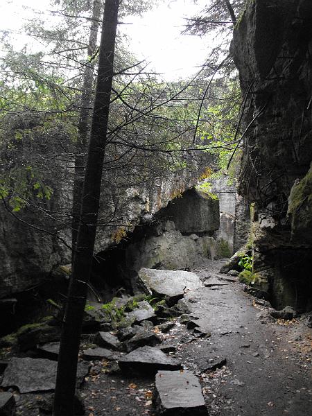 DSCF1323.JPG
