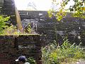 DSCF1319